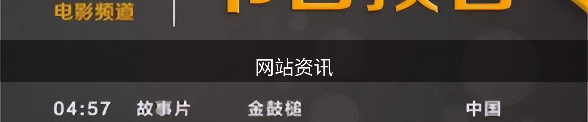 网站资讯